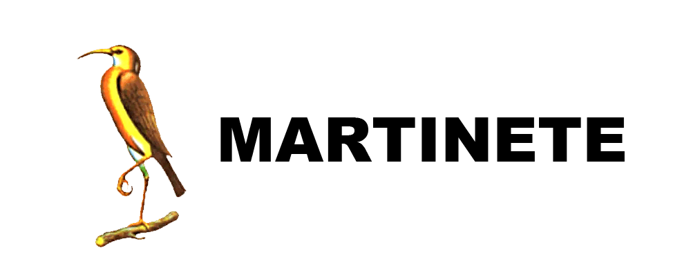 05-conservas-martinete