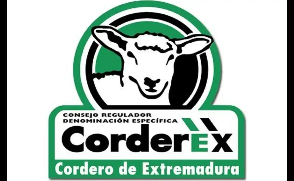 logo corderex