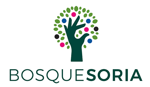 logo bosque